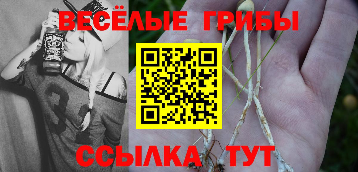 Псилоцибиновые грибы Magic Shrooms Киселёвск